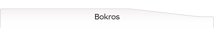 Bokros