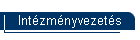 Intzmnyvezets