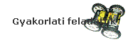 Gyakorlati feladatok